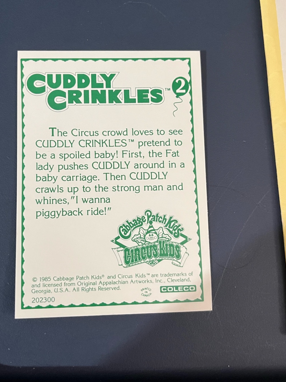 Cabbage Patch Kids Circus Kids (1986) - Kitty Yvonne w/ Cuddly Crinkles Card - Picture 12 of 12